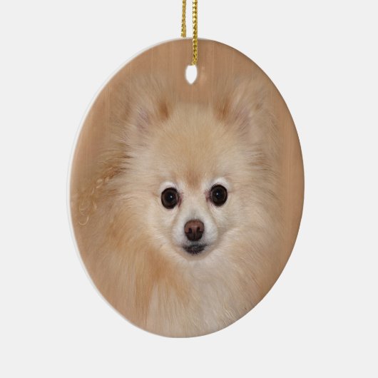 Pommeren Keramisch Ornament (Rechts)