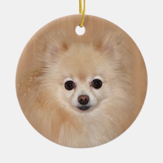 Pommeren Keramisch Ornament (Voorkant)