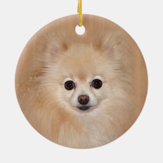 Pommeren Keramisch Ornament (Achterkant)