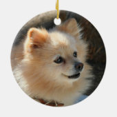 Pommeren Keramisch Ornament (Achterkant)