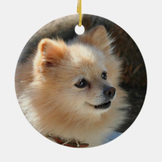 Pommeren Keramisch Ornament (Achterkant)