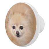 Pommeren Keramische Knop (Rechts)