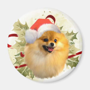 Pommeren Kerstmagneet Magneet