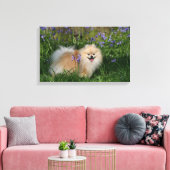 Pommeren kijken naar camera canvas afdruk (Insitu (Woonkamer))