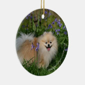 Pommeren kijken naar camera keramisch ornament (Rechts)