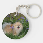 Pommeren kijken naar camera sleutelhanger (Achterkant)