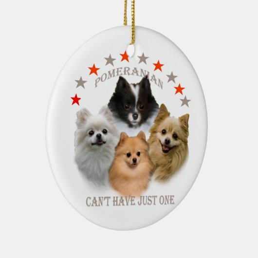 Pommeren kunnen niet slechts één sierbloem hebben keramisch ornament (Rechts)