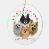 Pommeren kunnen niet slechts één sierbloem hebben keramisch ornament (Links)