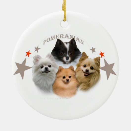 Pommeren kunnen niet slechts één sierbloem hebben keramisch ornament (Achterkant)