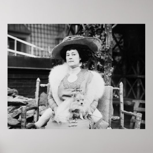 Pommeren Lady, begin jaren '00 Poster (Voorkant)