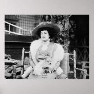 Pommeren Lady, begin jaren 1900 Poster