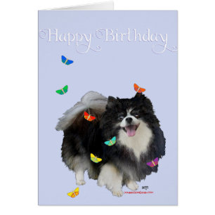 Pommeren met Butterflies