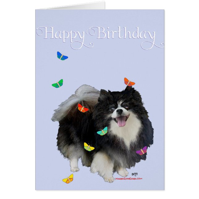 Pommeren met Butterflies (Voorkant)