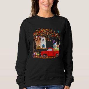 Pommeren met een eenhoevige rode vrachtwagen met e trui