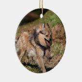 Pommeren met Harness op Keramisch Ornament (Rechts)