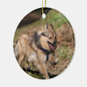 Pommeren met Harness op Keramisch Ornament (Links)