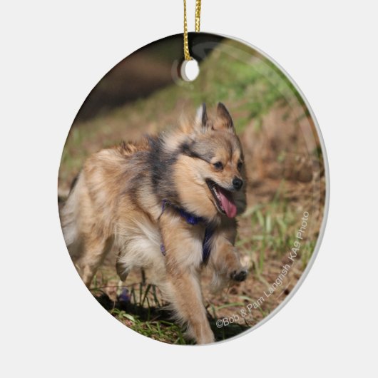 Pommeren met Harness op Keramisch Ornament (Links)