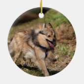 Pommeren met Harness op Keramisch Ornament (Achterkant)