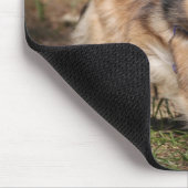 Pommeren met Harness op Muismat (Hoek)