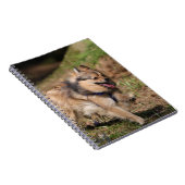 Pommeren met Harness op Notitieboek (Rechterzijde)