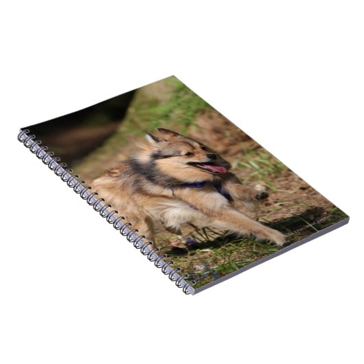 Pommeren met Harness op Notitieboek (Rechterzijde)