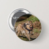 Pommeren met Harness op Ronde Button 5,7 Cm (Voorkant /achterkant)