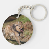 Pommeren met Harness op Sleutelhanger (Achterkant)