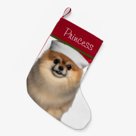 Pommeren met kerstcadeautjes kleine kerstsok