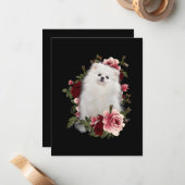 Pommeren met ventilator notitiekaartje (Voorkant / Achterkant in situ)