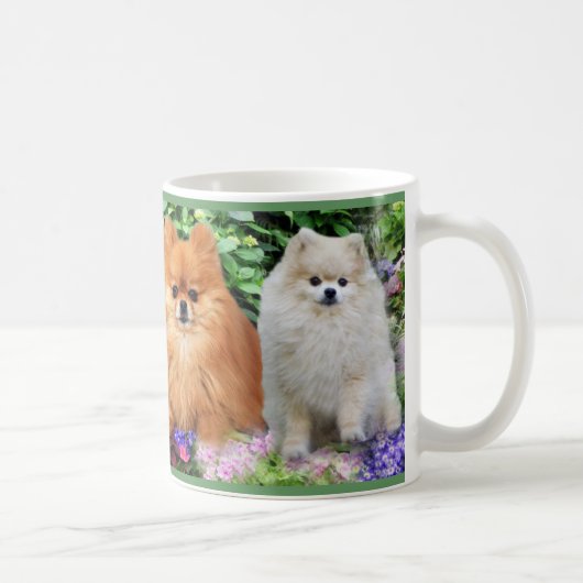 Pommeren Mok (Rechts)