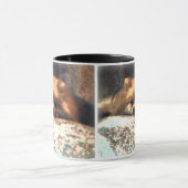 Pommeren Mok (Midden)