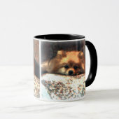 Pommeren Mok (Voorkant rechts)