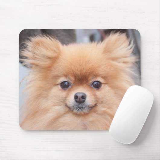  Pommeren-Muismat Muismat (Met muis)