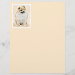 Pommeren (Oranje) schilderen - Oorspronkelijke hon