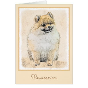 Pommeren (Oranje) schilderen - Oorspronkelijke hon