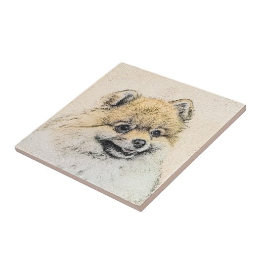 Pommeren (Oranje) schilderen - Oorspronkelijke hon Tegeltje (Zijkant)