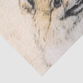 Pommeren (Oranje) schilderen - Oorspronkelijke hon Tissuepapier (Detail)