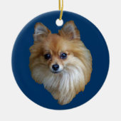 Pommeren Ornament (Voorkant)