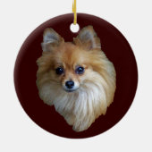 Pommeren Ornament (Achterkant)