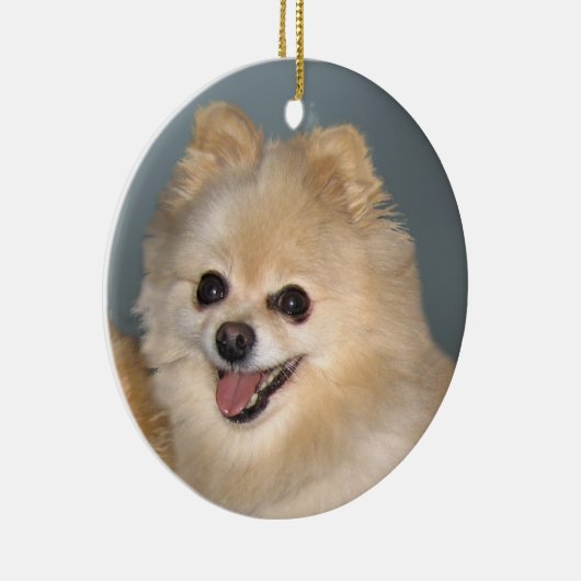 Pommeren Ornament (Rechts)