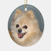 Pommeren Ornament (Links)