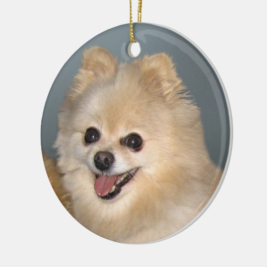 Pommeren Ornament (Links)