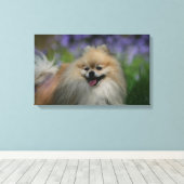 Pommeren Panting Canvas Afdruk (Insitu (Houten vloer))