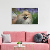 Pommeren Panting Canvas Afdruk (Insitu (Woonkamer))