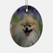 Pommeren Panting Keramisch Ornament (Rechts)