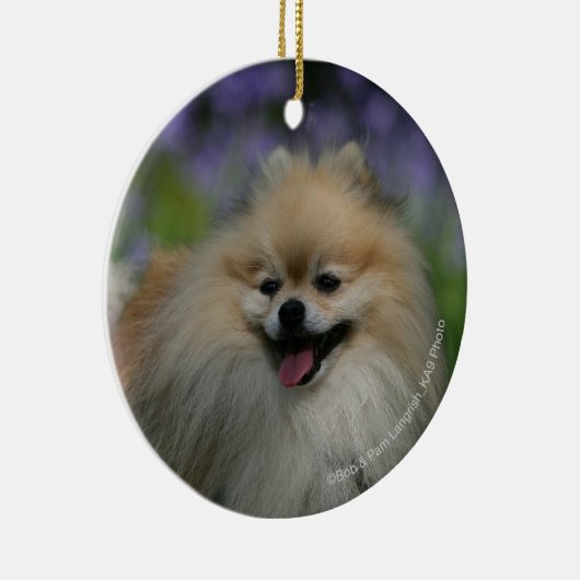 Pommeren Panting Keramisch Ornament (Rechts)