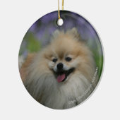 Pommeren Panting Keramisch Ornament (Links)