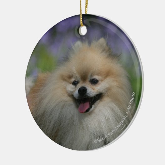 Pommeren Panting Keramisch Ornament (Links)