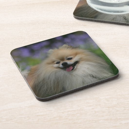 Pommeren Panting Onderzetter (Linkerzijde)