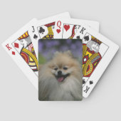 Pommeren Panting Speelkaarten (Achterkant)